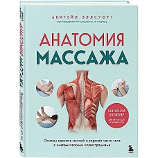 Анатомия массажа. Основы массажа нижней и верхней части тела с анатомическими иллюстрациями. Абигейл Эллсуорт