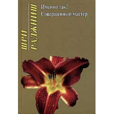 Именно так! Совершенный мастер Именно так! Совершенный мастер