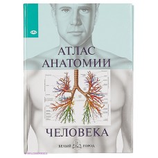 Атлас анатомии человека. Перевод : И.А. Маневич
