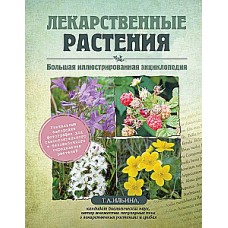 Лекарственные растения. Большая иллюстрированная энциклопедия. Татьяна Ильина