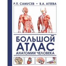Большой атлас анатомии человека. Р.П. Самусев Большой атлас анатомии человека. Р.П. Самусев
