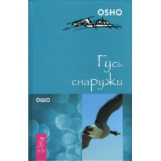 Гусь снаружи Гусь снаружи