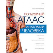Популярный атлас анатомии человека. Любовь Палычева