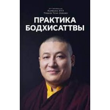 Практика Бодхисаттвы. Его Святейшество Гьялва Кармапа ХVII Тринле Тхае Дордже