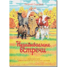 Незабываемые встречи. Книга 2. Георгий Сидоров Незабываемые встречи. Книга 2. Георгий Сидоров