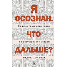 Я осознан, что дальше? От практики медитации к пробужденной жизни. Эндрю Холечек