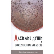 Алхимия души и Божественная Милость.  Свами Вишнудевананда Гири